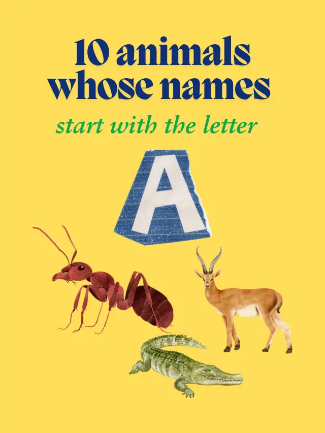 10 animals whose name start with the letter A,